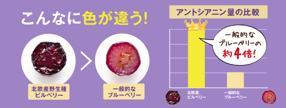 こんなに色が違う