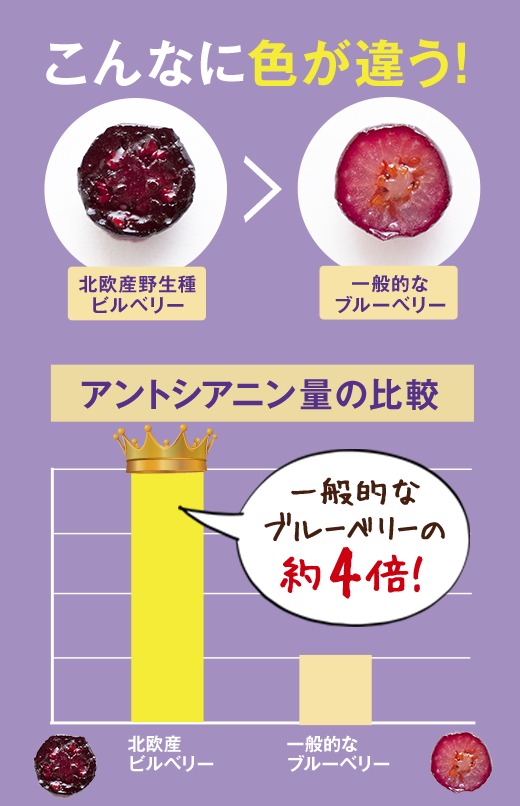 こんなに色が違う