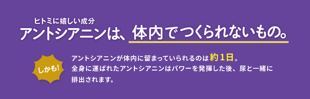 アントシアニンは体内で作られない