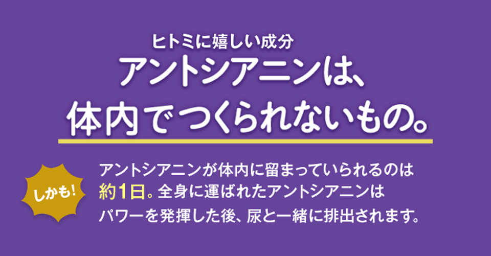 アントシアニンは体内で作られない