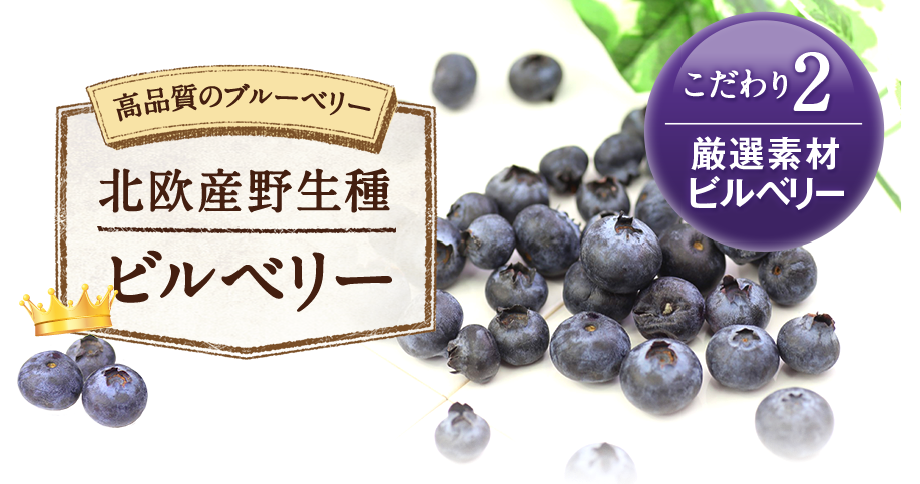 こだわり2ビルベリー
