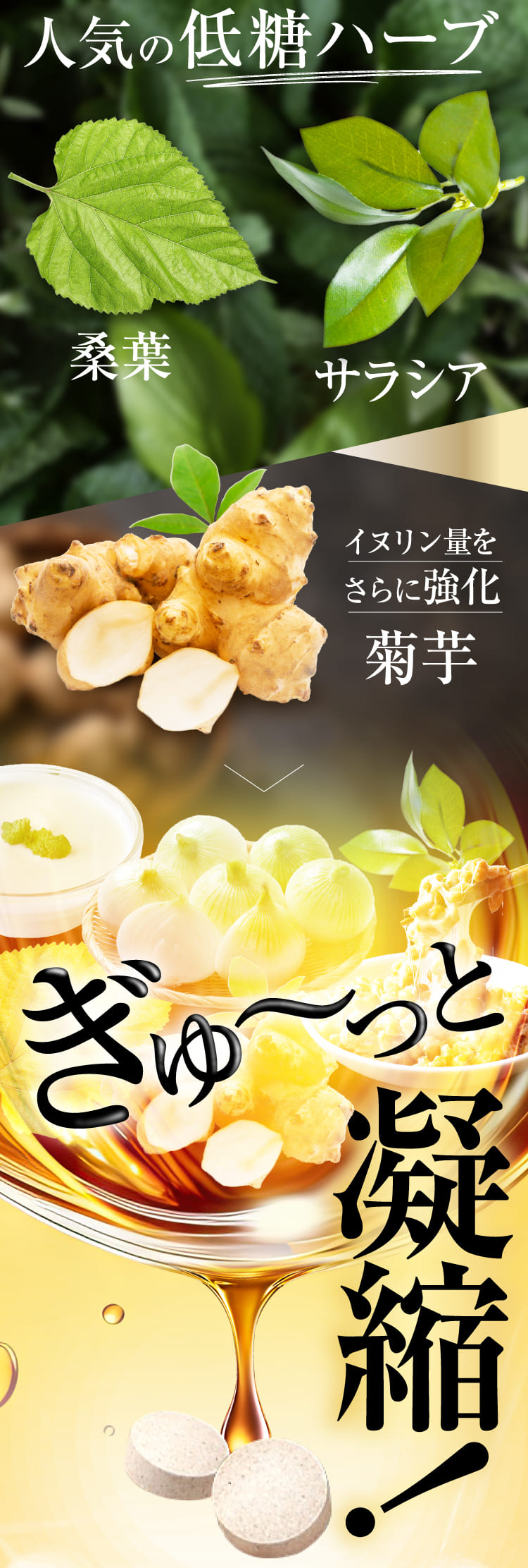 ぎゅ～っと凝縮